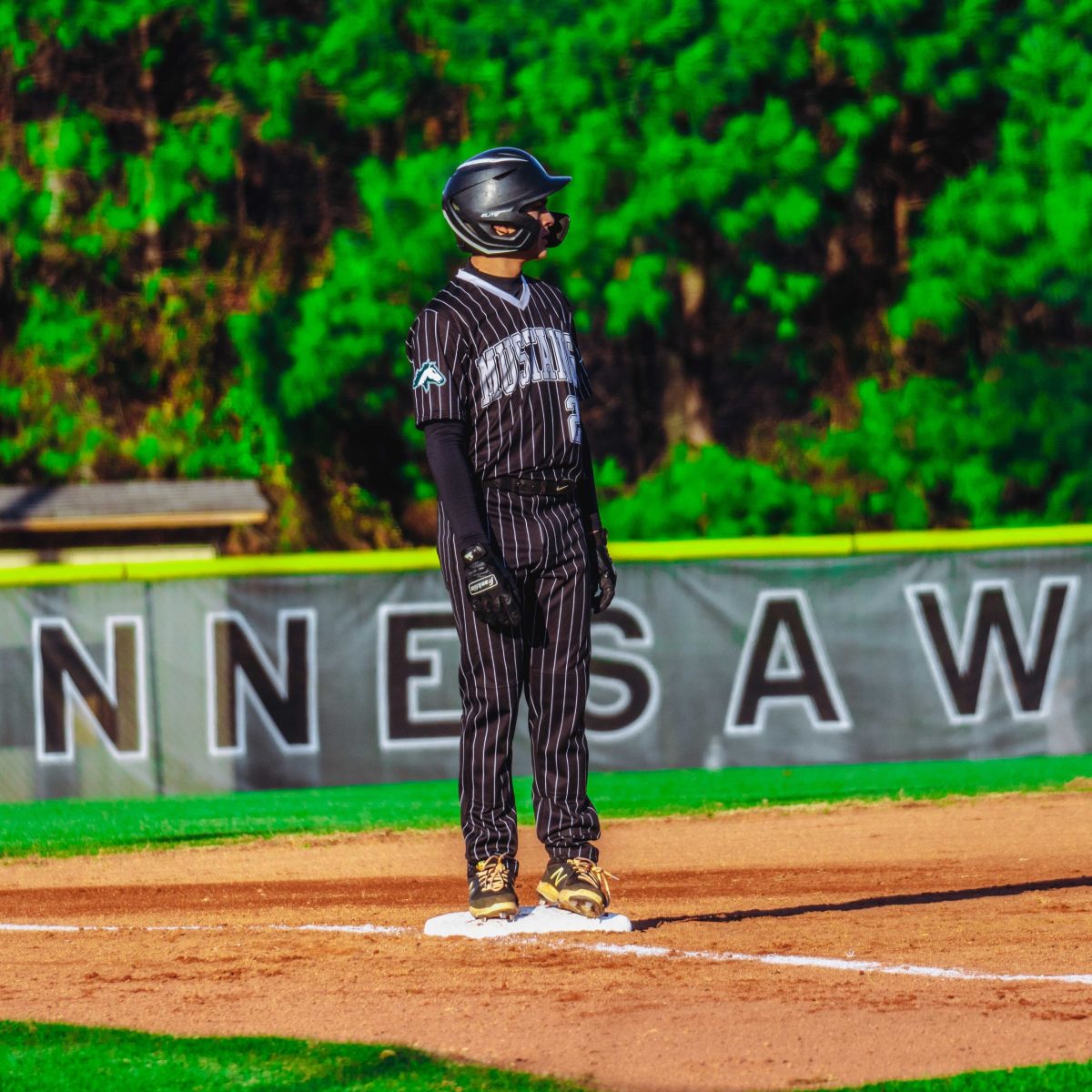 Willie_Prince_Kennesaw_Mountain_baseball.23
